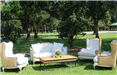Fancy Chairs and Sofa Setup Outside