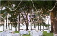 Table Settings and Outdoor Wedding Decorations